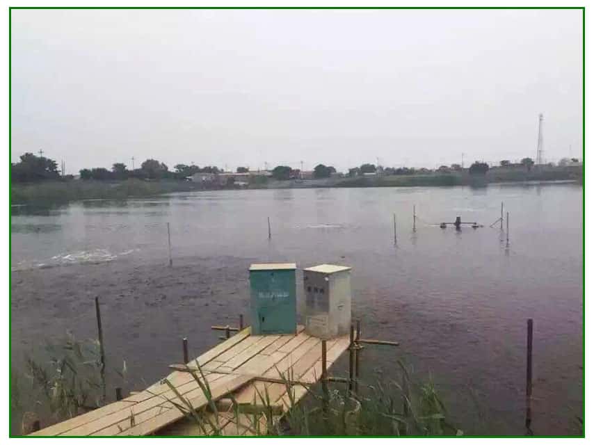 �_�����ſՉ��C����(w��)���B(y��ng)ֳ�I(y��)